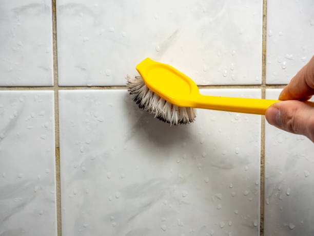 Best Mold Removal Process  in Seal Beach, CA