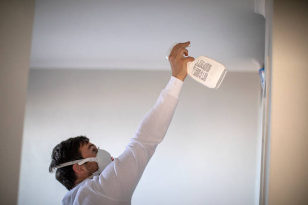 Mold Removal Process in Seal Beach, CA